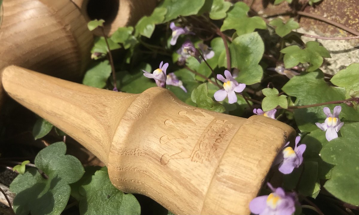 #Kendama #bloomscrolling #flowers #RoyalKendama #Supernatural