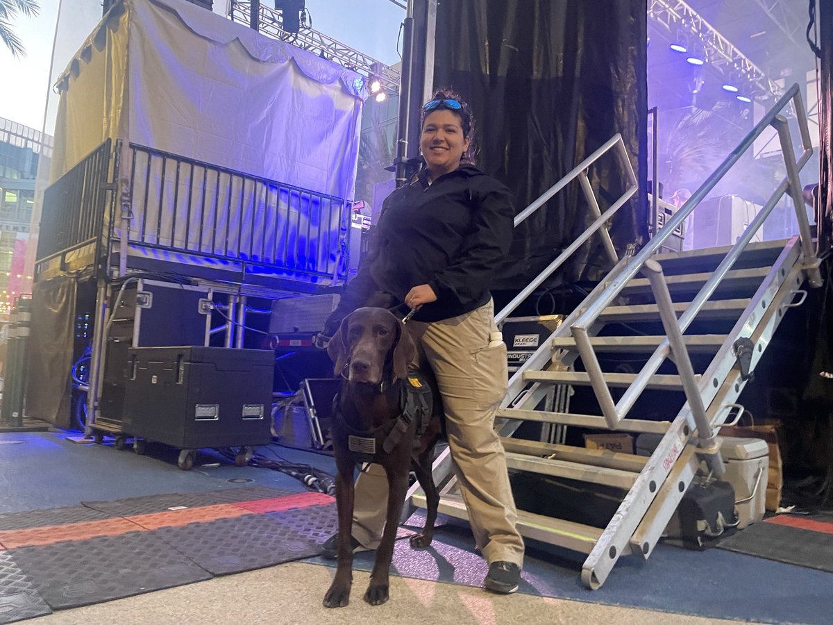 GoteamK9's tweet photo. 📣🎉 Ladies and gentlemen, get ready for an electrifying update! This week, we want to shine the spotlight on two remarkable individuals who have been setting the stage on fire 🔥. Meet the incredible duo of K9 Bogie and the sensational Selene! 🐶💪

Selene has become an indispensable part of our team, showcasing her exceptional skills and dedication at some of the most thrilling events around the country. From Coachella to Stagecoach, this powerhouse has been making waves, and 2023 marks her second year of absolute brilliance! 🌟

Not only has Selene conquered music festivals, but she has also left her mark at prestigious events like Sema in Las Vegas. With her expertise in backstage sweeps, she has proven time and again why she's the go-to handler for any high-stakes situation. 🎶🔍

But wait, there's more! If you've been wondering why you haven't seen Selene in action lately, we've got an incredible update for you. Brace yourselves because she is currently undergoing rigorous training at the police academy! 🚔👩‍🎓 We couldn't be prouder of her commitment to serving and protecting our community.

Selene's determination and passion are unmatched, and we can't wait to see her excel in her new role. Stay tuned for more jaw-dropping updates as she embarks on this thrilling new chapter. 📚✨

Let's give a round of applause for Selene and K9 Bogie, a dynamic duo that continues to raise the bar! 🙌👏 Join us in congratulating Selene on her remarkable achievements, and let's show her our unwavering support as she paves the way for a safer and brighter future. 🌟💪 #TeamSelene #K9Bogie #UnstoppableJourney