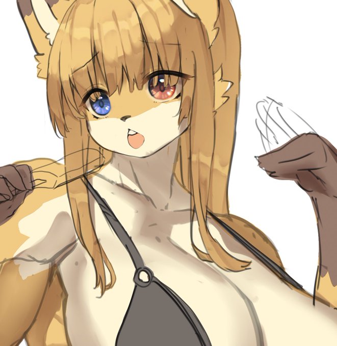 ラフの時点で塗りの形をほぼ完成させておく作戦🦊 