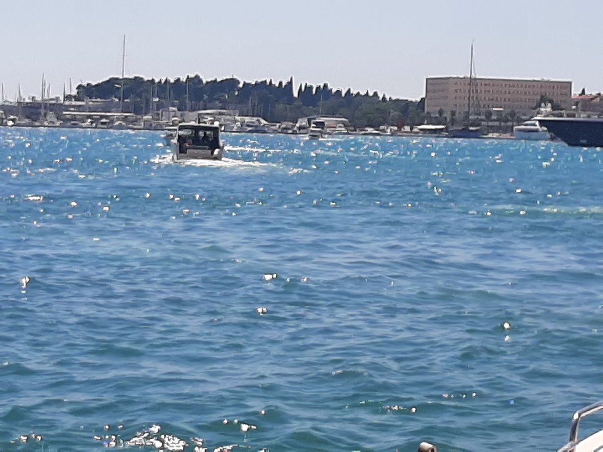 Lisa Williams tweet media