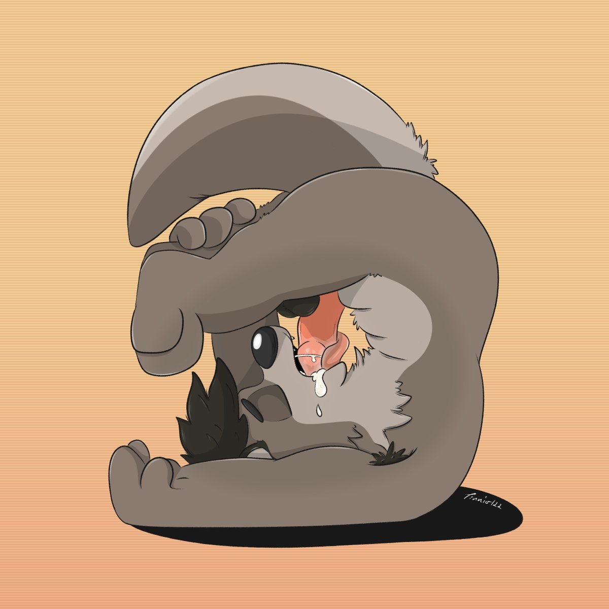 The Ferret Tube tweet media