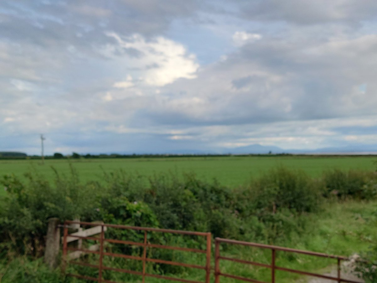 philbertieb's tweet photo. Cycle to Work Day today and ironically I needed to be in the office so took the chance for a wee commute on the bike and the weather was grand for a change! A wee reward with a fine breakfast to refuel!! #cycletoworkday #cycletowork #whywecycle https://t.co/7MtlmCRJfp