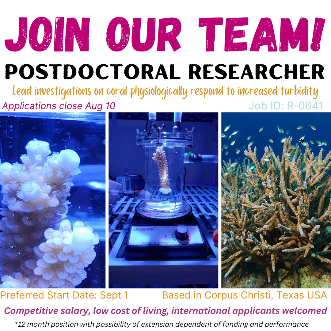 🚨 I am recruiting a postdoc to lead our investigations regarding turbidity effects on corals. 🪸 Competitive pay, dynamic team, direct management implications and collaborations. Please RT! #jobs #academicjobs @lscitamucc @himb_soest Apply now: tamus.wd1.myworkdayjobs.com/en-US/TAMUCC_E…