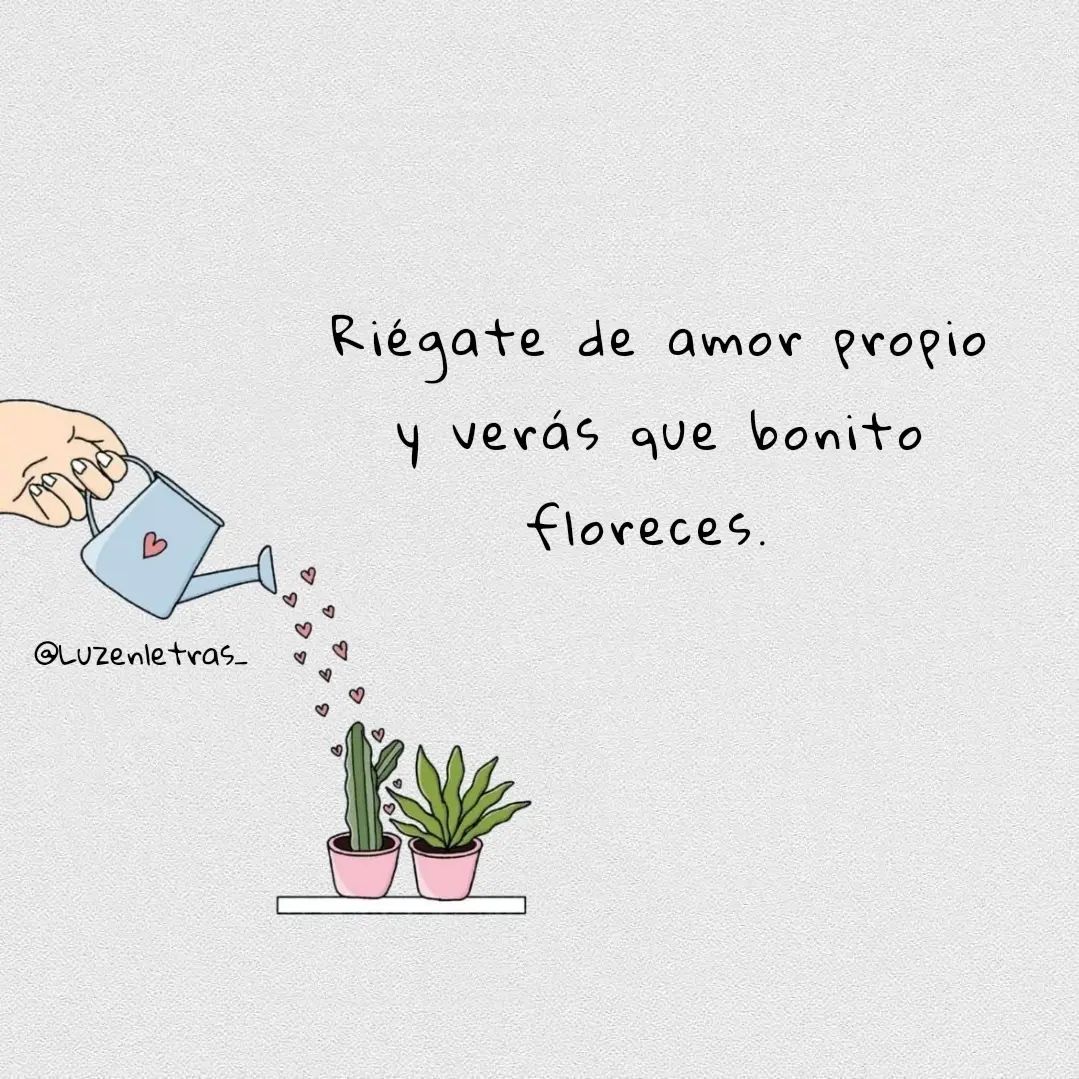 essentialpanama tweet media