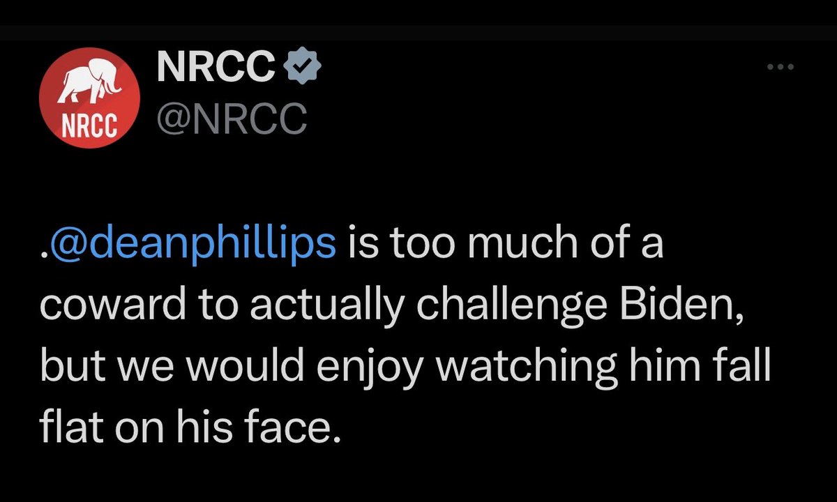 Dean Phillips tweet media