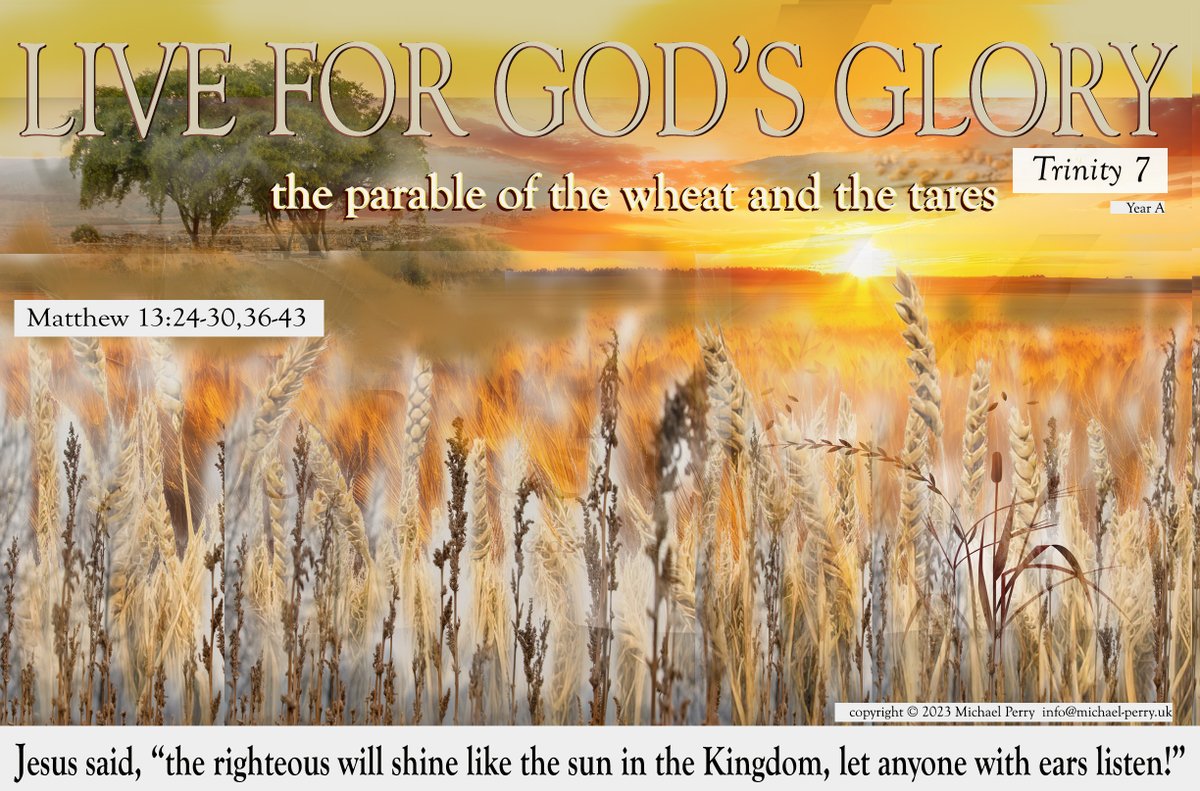 Michael24569081's tweet photo. [Trinity 7] The Parable of the Wheat and the Tares (Matthew 13:24-30,36-43).  911 words to acompany picture here > (do please 'like' the Christian Gospel Website facebook page, we appreciate your support)> https://t.co/0BPsx4YjIl https://t.co/G6Z4SAYYsT