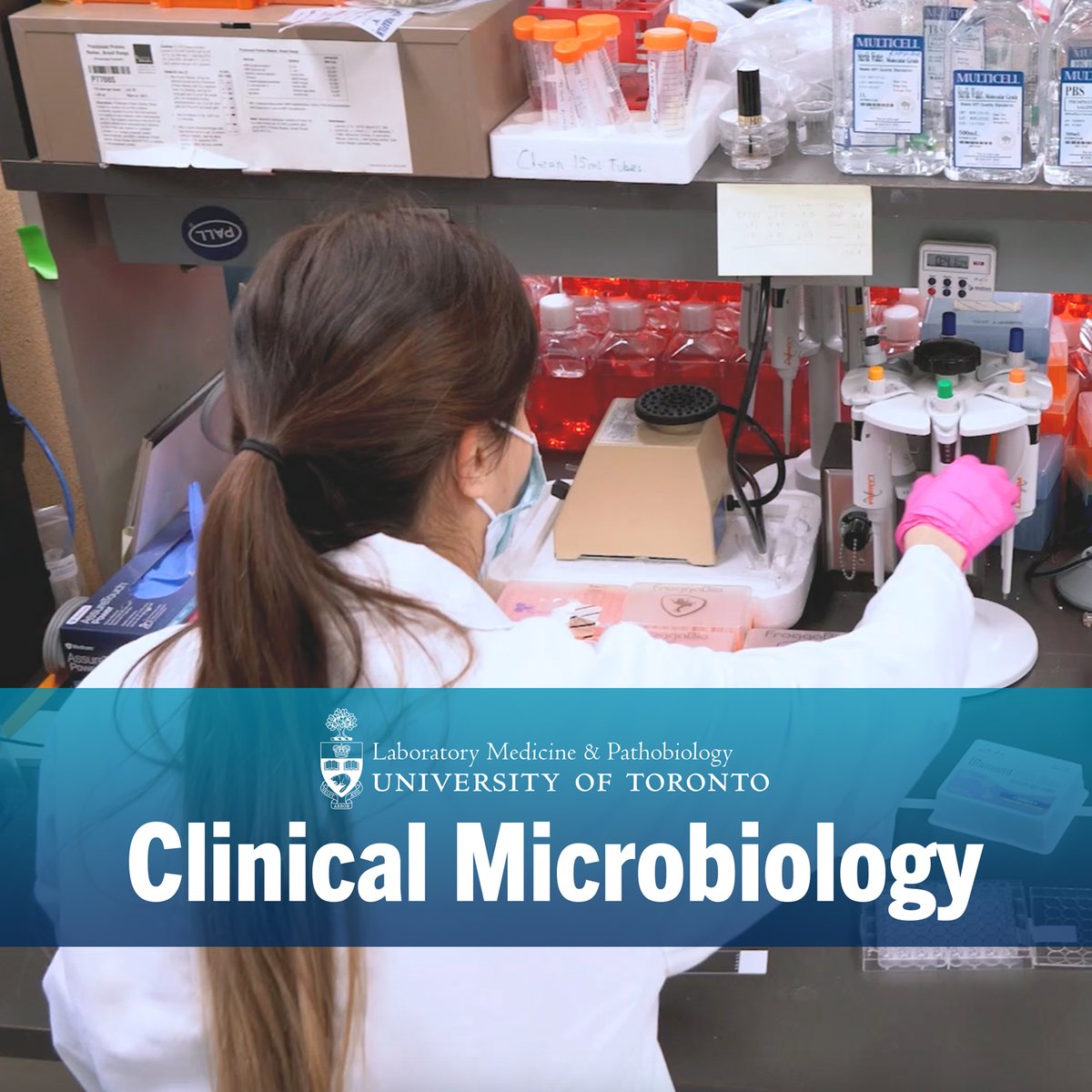 UofT_LMP's tweet image. 📣 Applications are open for our Postdoctoral Training Program in Clinical Microbiology!

As a future Clinical Microbiologist, we prepare you to become competent in all aspects of this fascinating field.

Applications are due September 20.

lmp.utoronto.ca/clinical-micro…

#medpath #uoft
