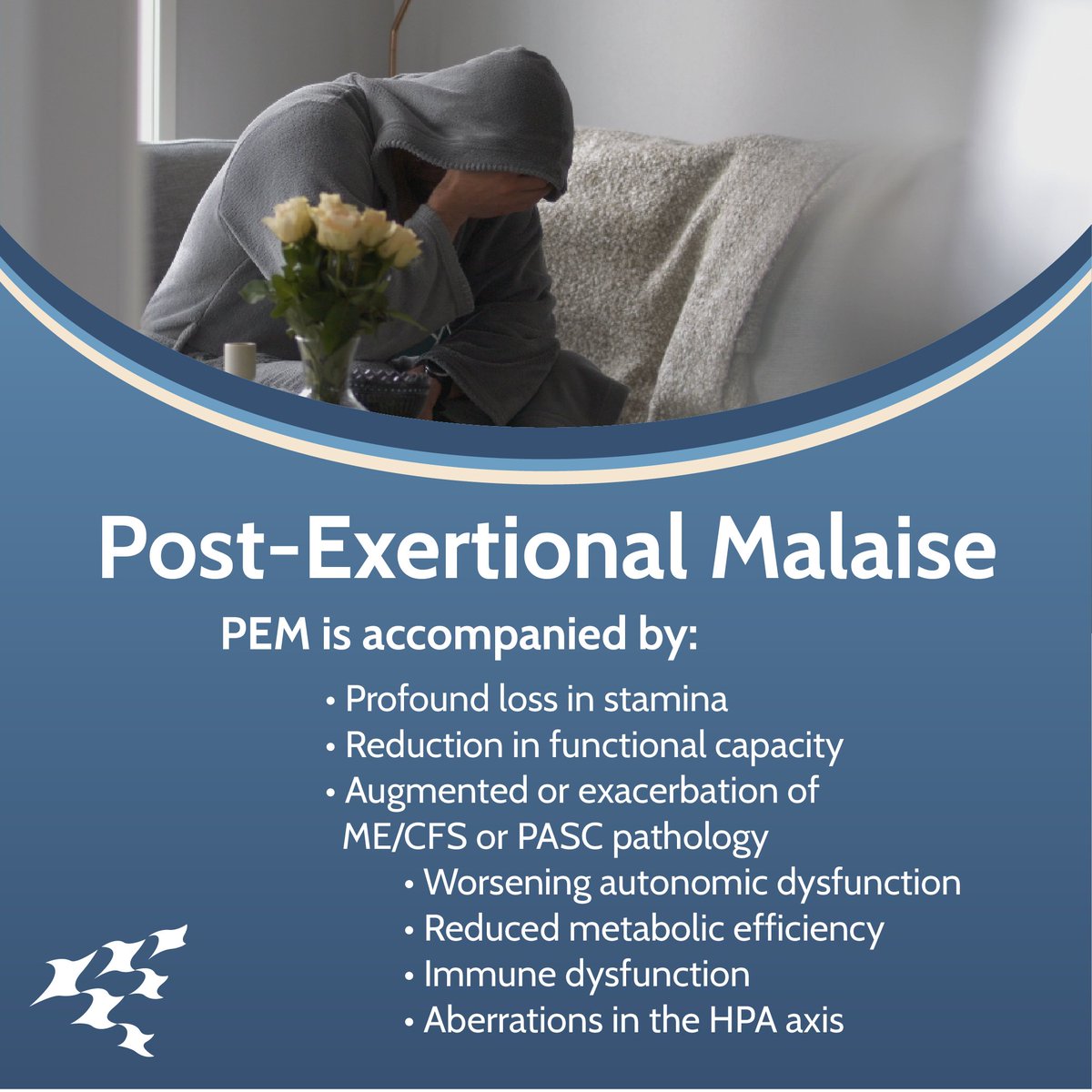 BatemanHorne's tweet photo. PEM is unique to #MECFS and has not been documented in ANY other illness, absent even in those suffering post-chemotherapy complications.  Access the full series here: https://t.co/NA5P0gUSub

@OpenMedF @LBatemanMD 
#PEM #PESE #LongCOVID #MedEdMatters #medicaleducation #MERC https://t.co/r8OgMfvPLu