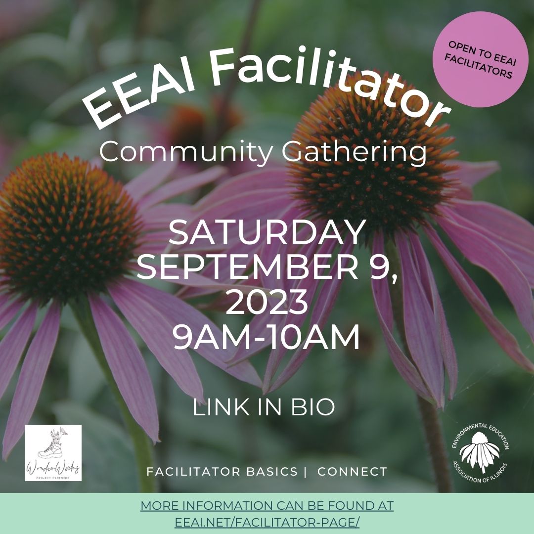 EnvironEdofIL's tweet photo. EEAI Facilitators! Join us on September 9th for a quarterly EEAI Facilitator Gathering! We'll come together to build community as well as to share and learn from each other. Learn more and sign-up here: https://t.co/ZGuI89dTfp https://t.co/7iy7V0TjmM