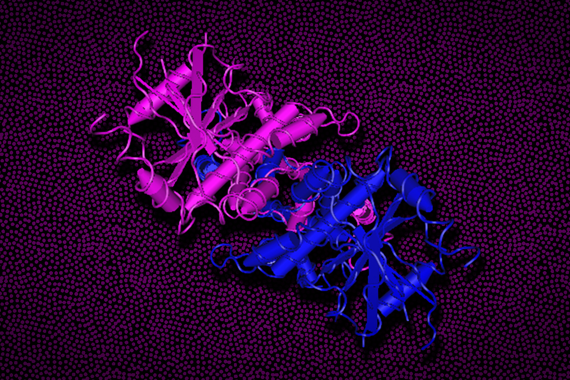 MIT Dept of BE (@mitdeptofbe) on Twitter photo Irvine Lab and Blainey Lab discovered that STING protein has previously unknown role as an ion channel, helping cells respond to danger signals such as viral infection.ow.ly/PuV150Psqgu <a href="/BlaineyLab/">Blainey Lab</a> <a href="/ScienceMagazine/">Science Magazine</a> <a href="/kochinstitute/">Koch Institute at MIT</a> <a href="/broadinstitute/">Broad Institute</a> <a href="/ragoninstitute/">Ragon Institute</a> Irvine Lab and Blainey Lab discovered that STING protein has previously unknown role as an ion channel, helping cells respond to danger signals such as viral infection.ow.ly/PuV150Psqgu <a href="/BlaineyLab/">Blainey Lab</a> <a href="/ScienceMagazine/">Science Magazine</a> <a href="/kochinstitute/">Koch Institute at MIT</a> <a href="/broadinstitute/">Broad Institute</a> <a href="/ragoninstitute/">Ragon Institute</a>