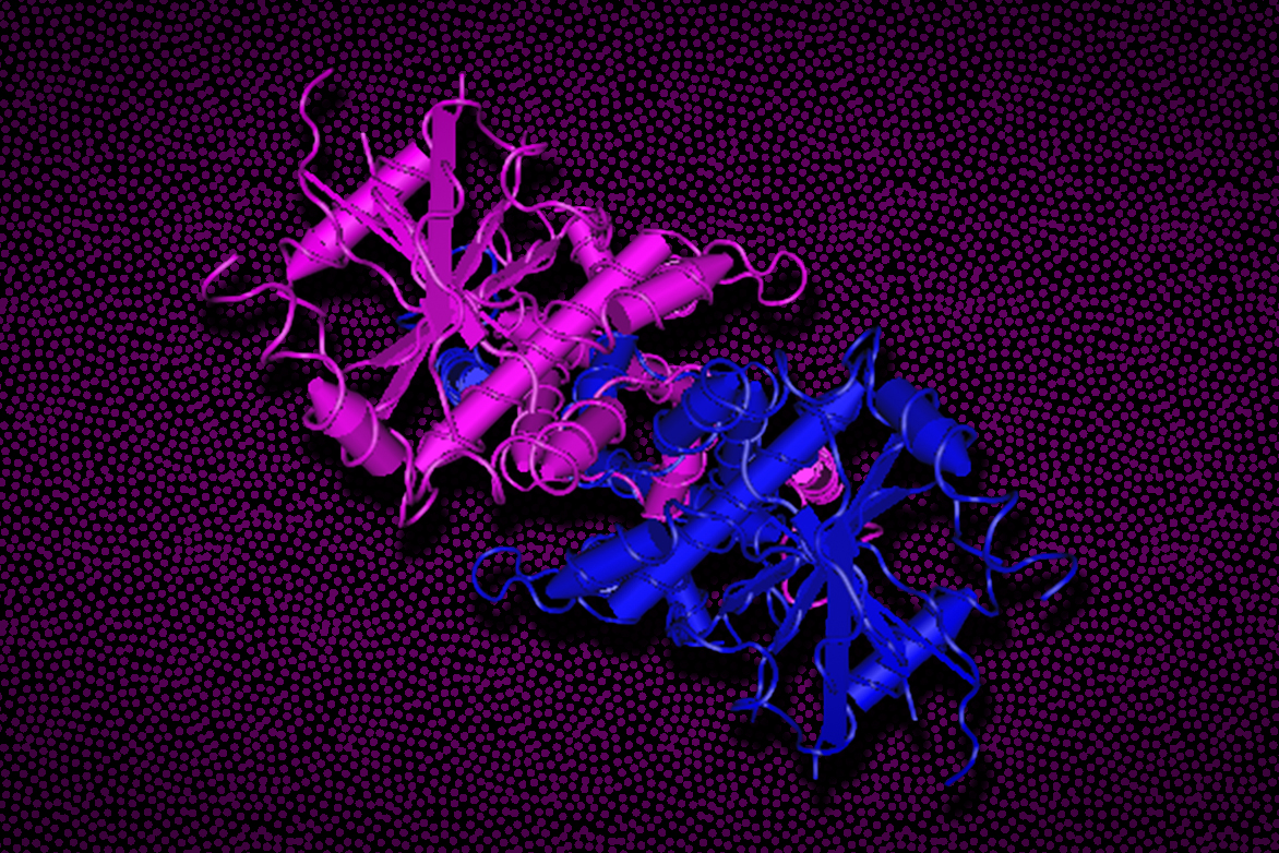 Irvine Lab and Blainey Lab discovered that STING protein has previously unknown role as an ion channel, helping cells respond to danger signals such as viral infection.ow.ly/PuV150Psqgu @BlaineyLab @ScienceMagazine @kochinstitute @broadinstitute @ragoninstitute