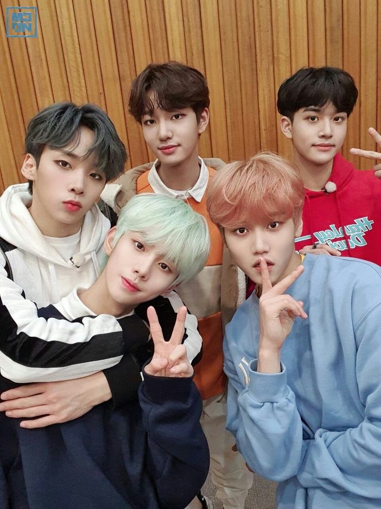 ⠀ ⠀ ⠀
⠀ ⠀ ⠀ ⠀ ⠀ ⠀ 𝕝oo𝚔i𝚗g ─ ♫  ࣪ . 🔎 𝑓or…
⠀ ⠀ ⠀
Nuestra empresita está buscando a todos los miembros de 𝐌𝐂𝐍𝐃 . Lo único que pedimos es mucha actividad y compromiso para poder darles un hogar. 🏡