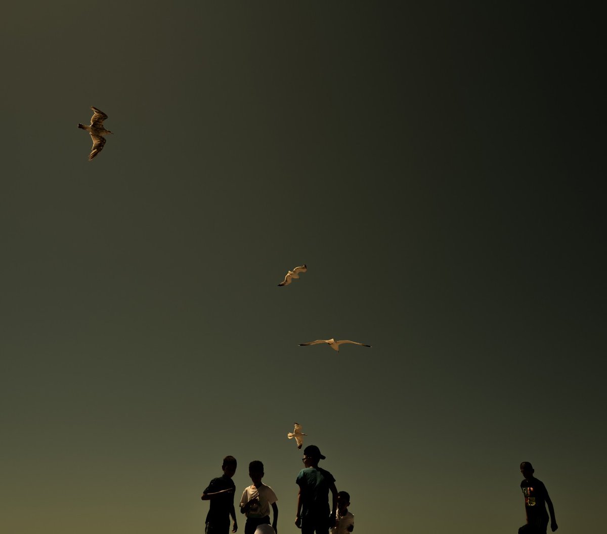 AppliedArts's tweet photo. 2023 Applied Arts Photography Awards winner Jeremy Dionn in the category Lifestyle Photography captures the feeling of summer in this work: Sons & Sun.
#photography #photographer #imagemaker #summer #appliedarts #creative #artist #images https://t.co/cbJv9Dtmcy