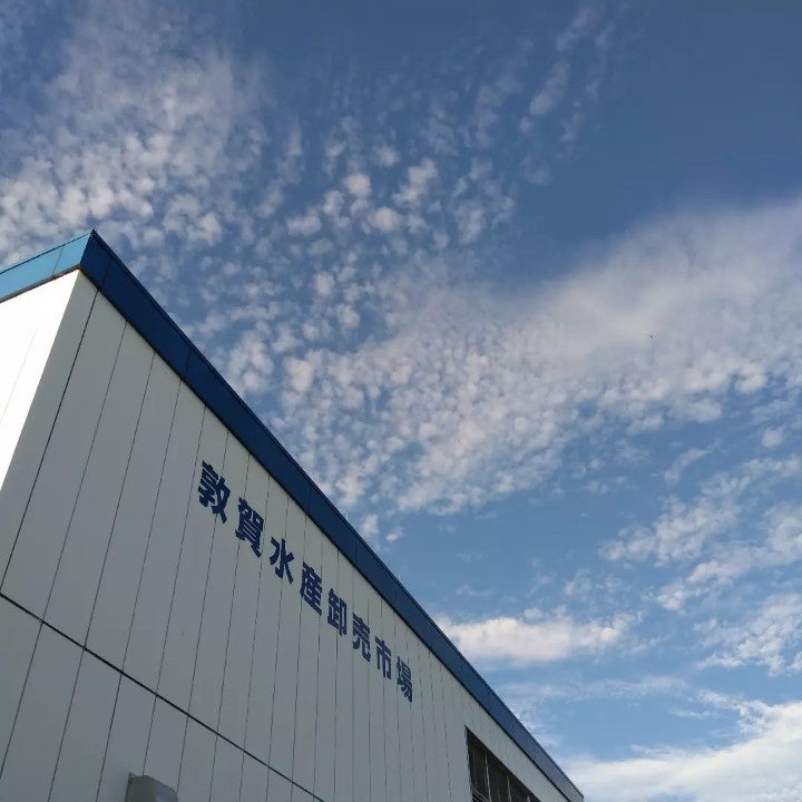 おはようございます。今朝も無事に到着しとります。 (@ 敦賀水産卸売市場 in 敦賀市, 福井県) swarmapp.com/c/10bqJfD5rQN