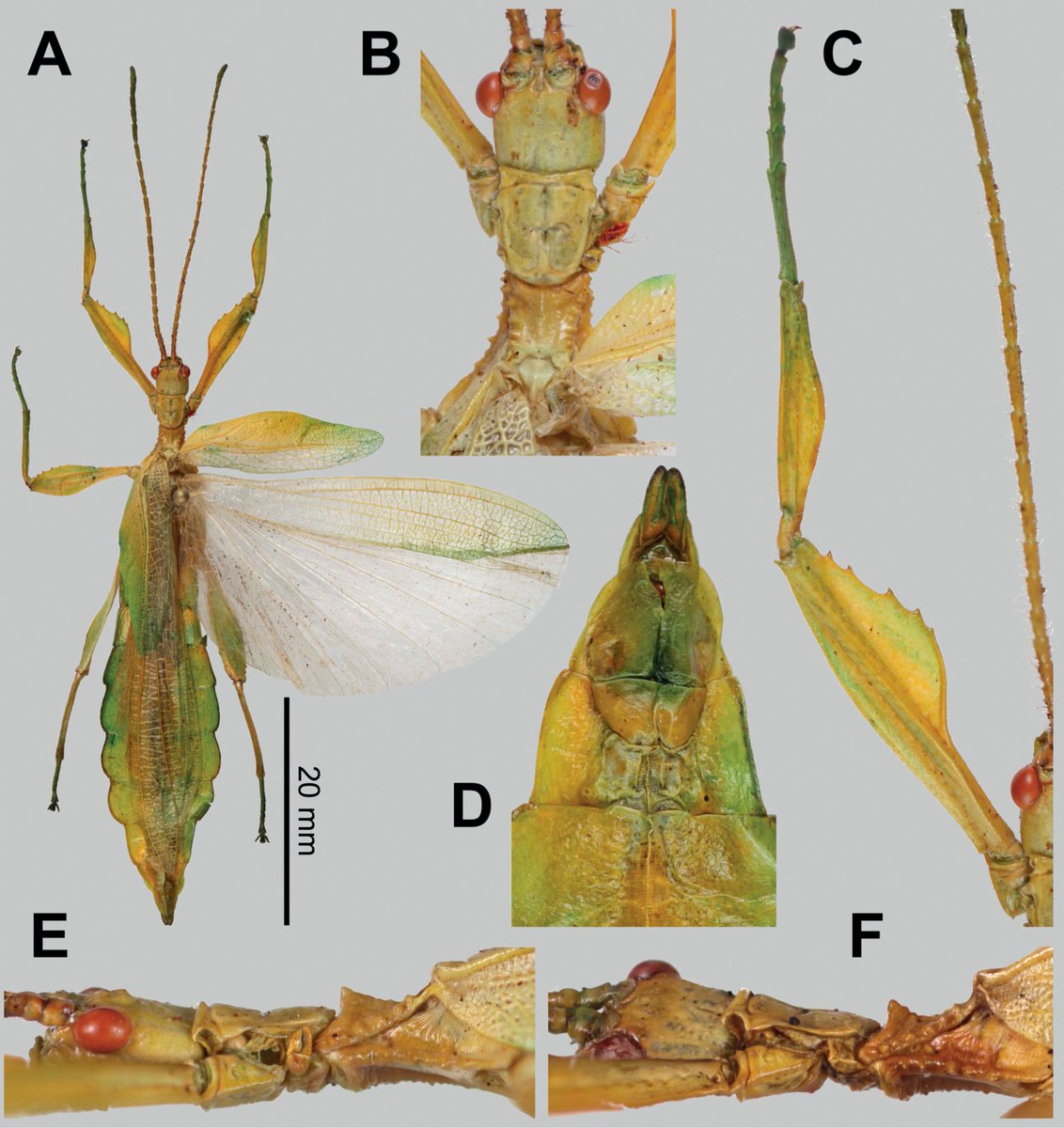 Sarah Bank tweet media