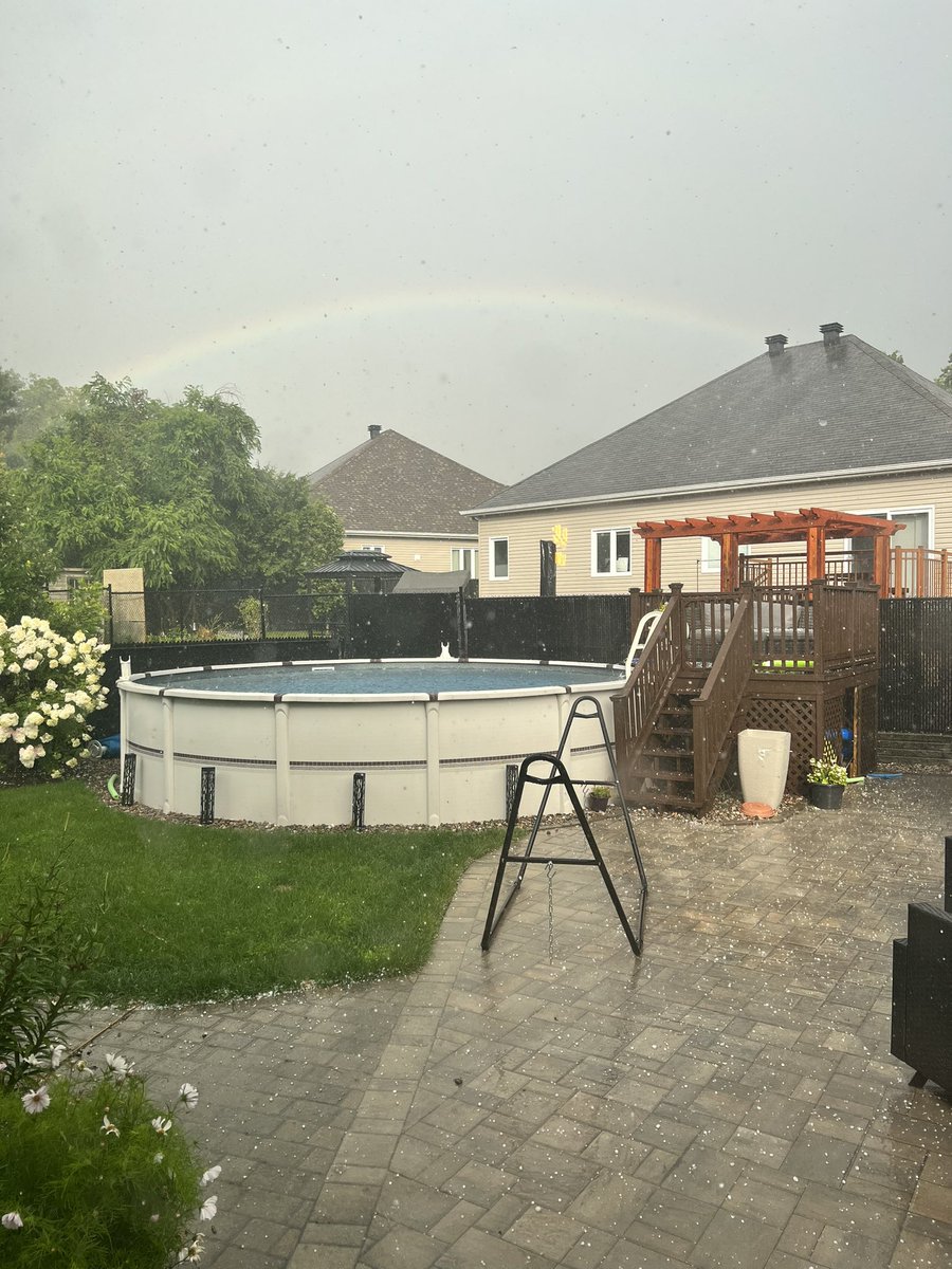 Trevor Kerr tweet media