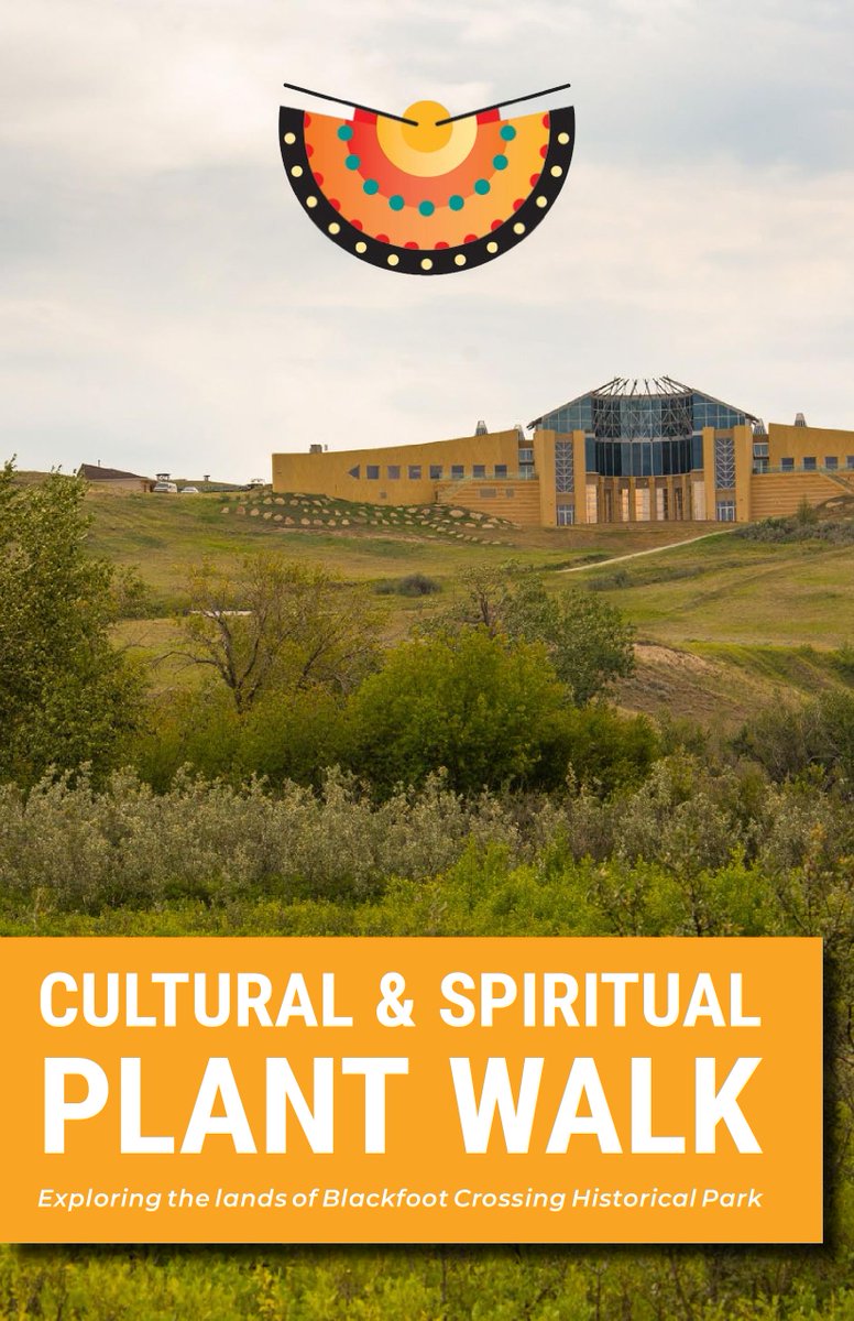 BlckftCrossing's tweet photo. If you would like to learn more about the plants around Blackfoot Crossing Historical Park, our plant-book is available on our website!! Come take a look and explore our book!
Link below:
https://t.co/plxYFJYp8s https://t.co/oAaefj90Oo