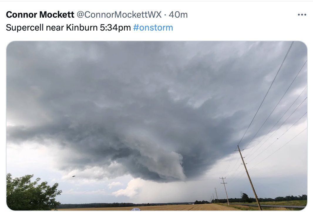 WCDRelief tweet media