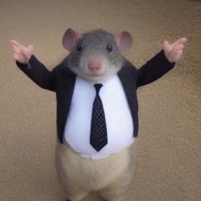 bicauski's tweet photo. #NewProfilePic https://t.co/Cj4QGGSJi8