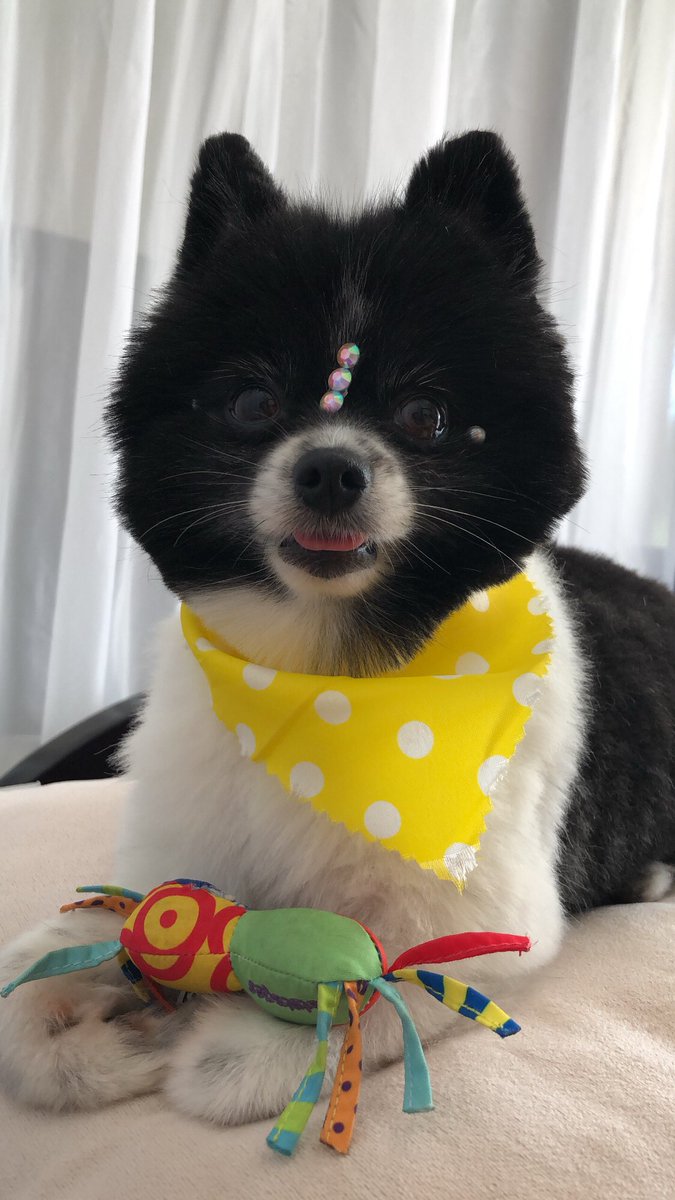 sandydigu's tweet photo. Una modelito hermosa 🫧💕 https://t.co/CBTvBSYXZE