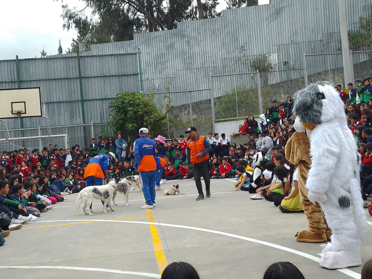 Educacionbogota's tweet photo. 🤝Porque en red podemos hacerlo mejor, el colegio abierto Friedrich Naumann de Usaquén presentó en su barrio «Naumalistas de corazón . Aula educativa de bienestar animal», una iniciativa para unir esfuerzos y promover el cuidado y la protección animal. 🐕🐈#ProgramaECO https://t.co/O0TTwPE7av