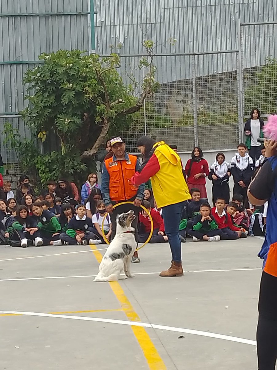 Educacionbogota's tweet photo. 🤝Porque en red podemos hacerlo mejor, el colegio abierto Friedrich Naumann de Usaquén presentó en su barrio «Naumalistas de corazón . Aula educativa de bienestar animal», una iniciativa para unir esfuerzos y promover el cuidado y la protección animal. 🐕🐈#ProgramaECO https://t.co/O0TTwPE7av
