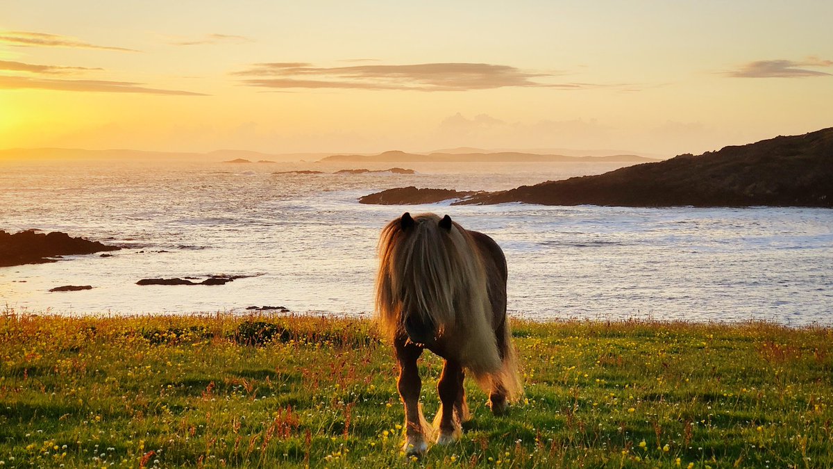 Catherine Munro tweet media