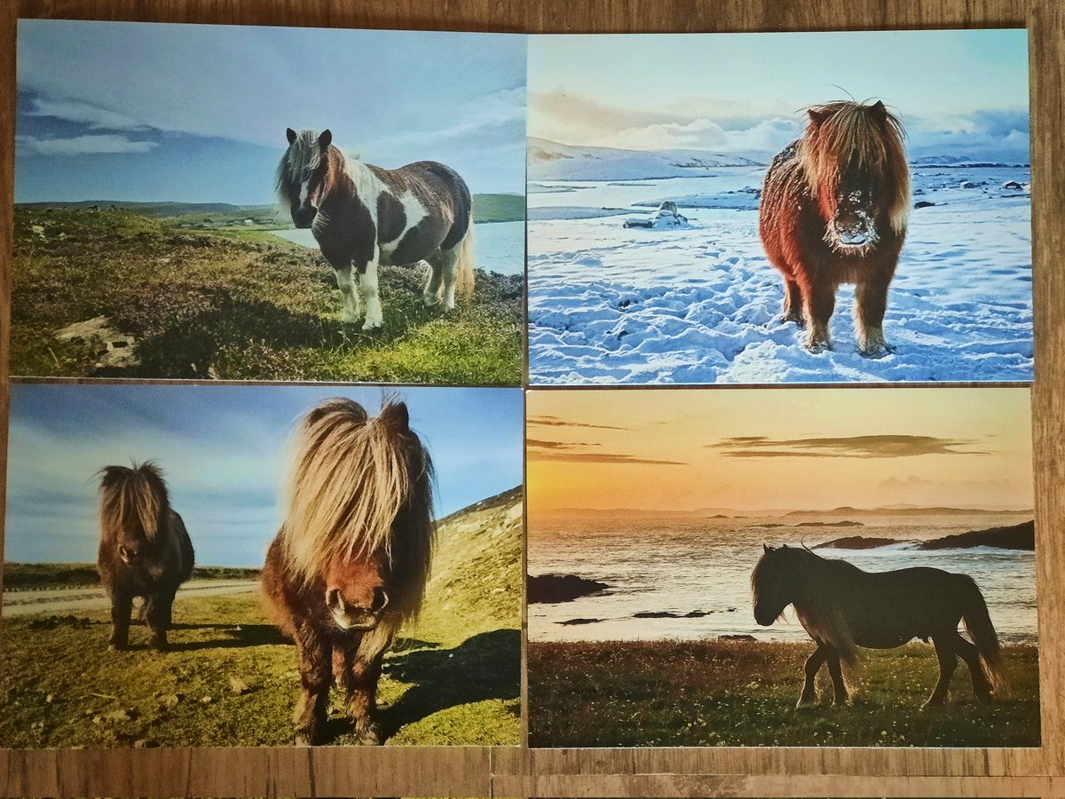 Catherine Munro tweet media