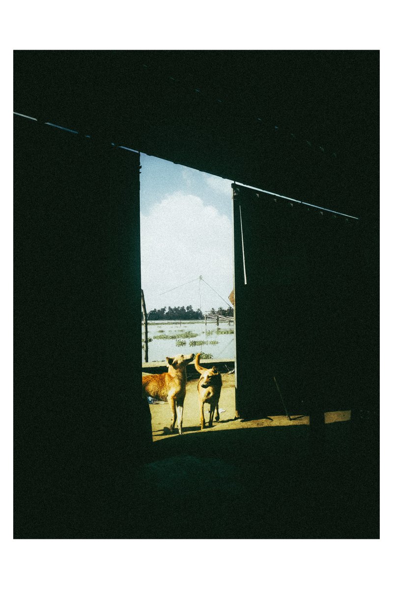 #lightroom #film #photography