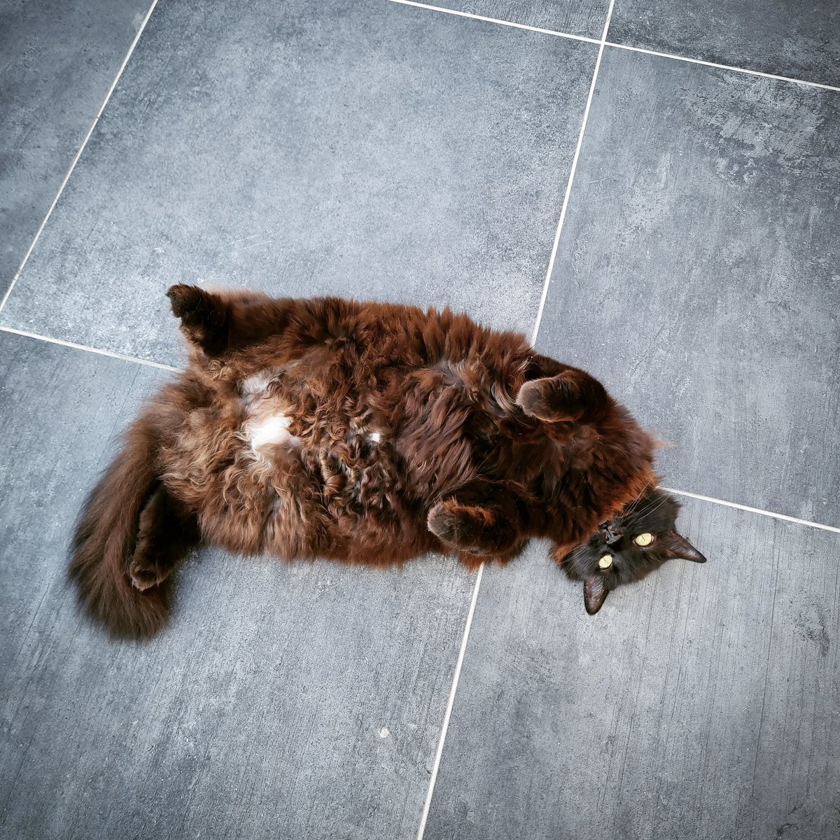 Lily Croft tweet media