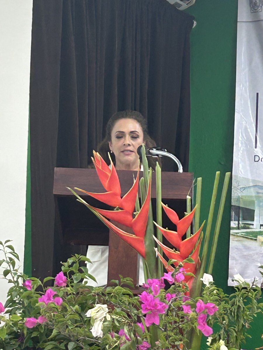 DgpeiU's tweet photo. Presentación del Plan de Desarrollo Divisional de la DA de Ciencias Básicas de la Dra. Hermicenda Pérez Vidal. Felicitaciones a la comunidad DAMC https://t.co/04TYbw1lcS