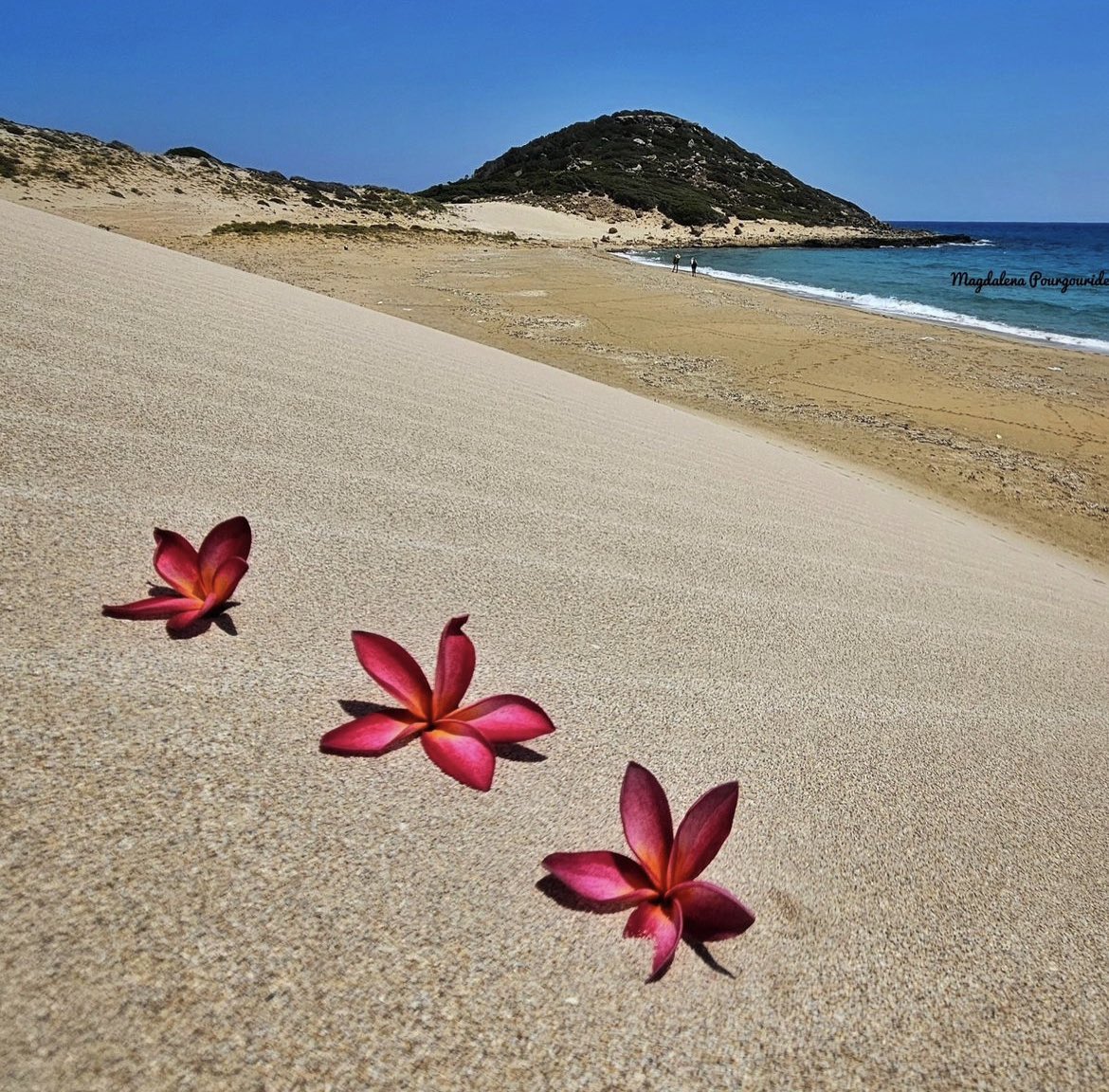 Beautiful Karpasia. We never forget. Photo by @magdalena_pourgouride  #cyprus #lovecyprus #karpasia #visitcyprus #travel #sea #beach #weneverforget #explore  #photography #cyprusonlens #europe #pic #cyprustourism #blueisland   #cyprusphoto #cyprusnature