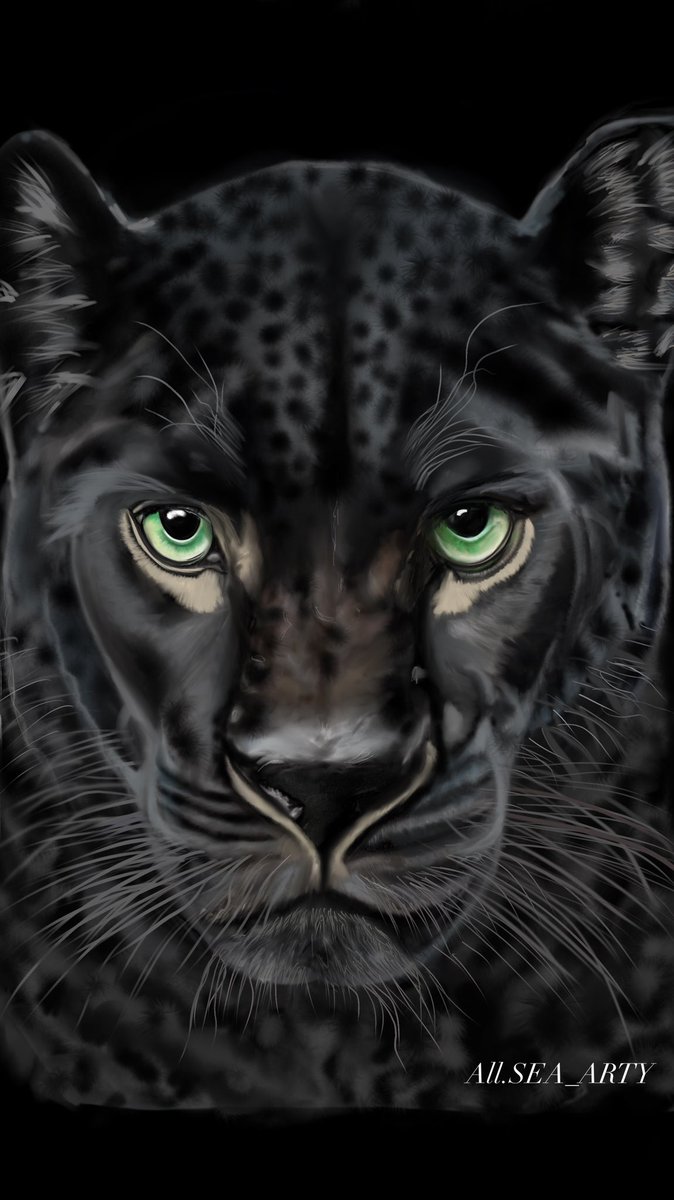 ALLSEA_ARTY tweet media