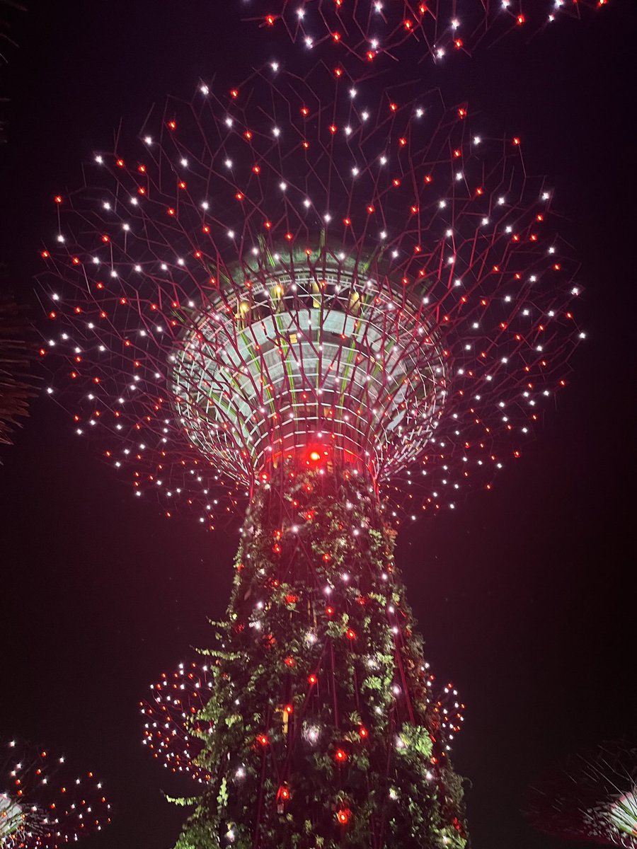 doderismo's tweet photo. Le luci e le ombre, danzando secondo il ritmo del Creato, danno vita alle sfumature migliori. #Singapore https://t.co/8VE2uvDOa6