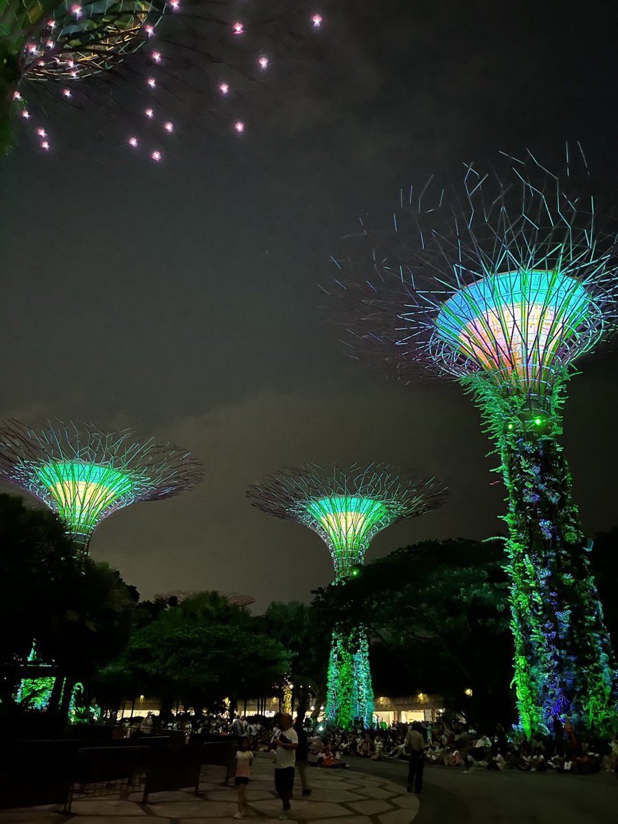 doderismo's tweet photo. Le luci e le ombre, danzando secondo il ritmo del Creato, danno vita alle sfumature migliori. #Singapore https://t.co/8VE2uvDOa6