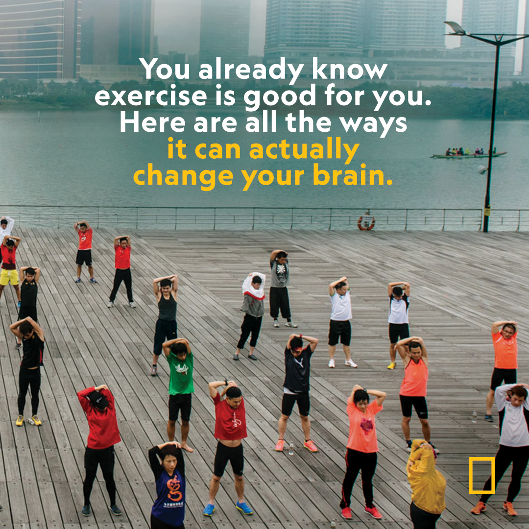 Scientists are learning how muscles in motion can improve cognition and shield against diseases like Alzheimer’s, paving the way for new treatments
 on.natgeo.com/45bj2IS