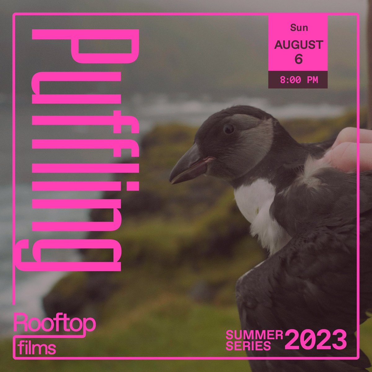 pufflingfilm's tweet photo. Reminder, PUFFLING will have its New York Premiere this Sunday, playing as part of @RooftopFilms Summer Series, ahead of Charlotte Regan's Sundance Winning Scrapper https://t.co/c7IrA5tDO6
