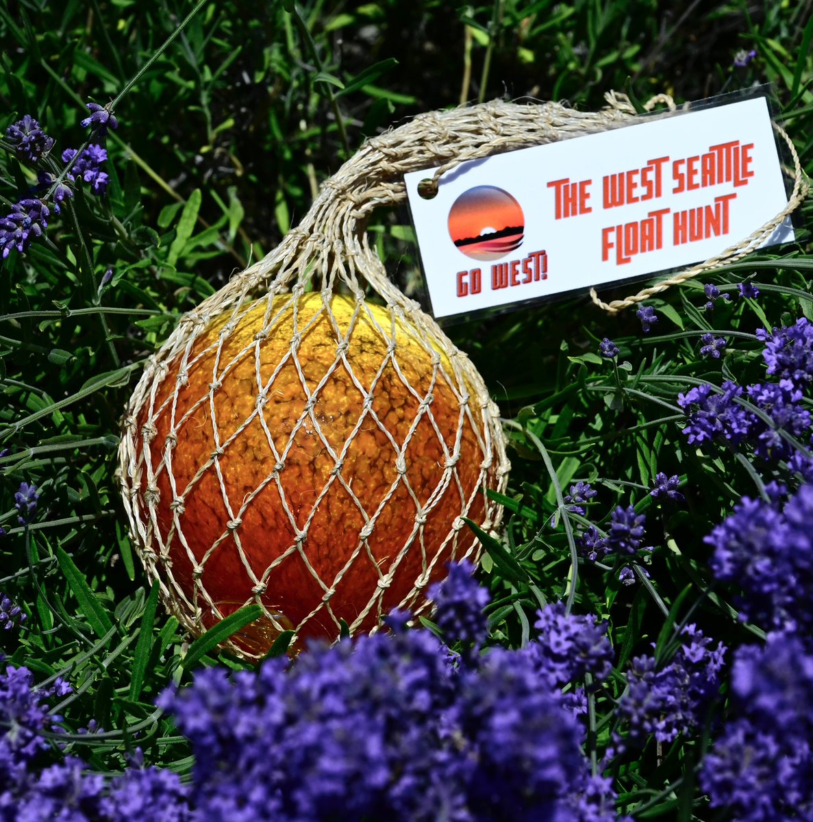 avalonglass's tweet photo. Get ready. The West Seattle Float hunt begins Saturday, August 5, 2023.

Photo by Patrick and Kimberly Robinson

#westseattle #westseattlelife #floathunt #glassfloats #finderskeepers #scavengerhunt #wsjunction #wschamber #wsfloathunt #avalonglassworks https://t.co/COlLxo57Ah