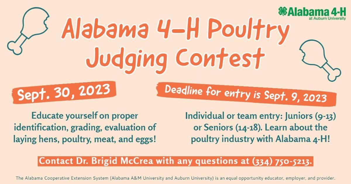 The 2023 4-H Poultry Judging Contest is coming up on September 30 at the Miller Poultry Center in Auburn, AL. Mark your calendars! 

The deadline to sign up is September 9. Any youth 9-18 is welcome. 

Come join in on the fun! Learn more here: aces.edu/blog/topics/4h…