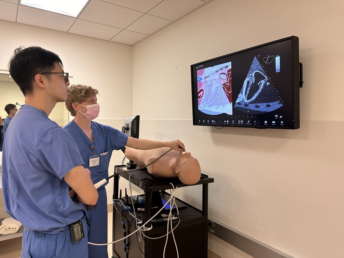 UC San Diego Cardiology Fellows (@ucsdcardfellows) on Twitter photo Cardiology fellows Dr. Adam Custer and Dr. Kevin Sung demonstrating superb skills at our monthly fellows TEE simulation session!
#echocurriculum #nothrombus
<a href="/UCSDCardiology/">UC San Diego Cardiology</a> <a href="/AnnaMcDivitMD/">Anna McDivit Mizzell, MD, FACC</a> <a href="/BhatiaPreranaMD/">Prerana Bhatia</a> <a href="/hsbhatia/">Harpreet Bhatia</a> Cardiology fellows Dr. Adam Custer and Dr. Kevin Sung demonstrating superb skills at our monthly fellows TEE simulation session!
#echocurriculum #nothrombus
<a href="/UCSDCardiology/">UC San Diego Cardiology</a> <a href="/AnnaMcDivitMD/">Anna McDivit Mizzell, MD, FACC</a> <a href="/BhatiaPreranaMD/">Prerana Bhatia</a> <a href="/hsbhatia/">Harpreet Bhatia</a>