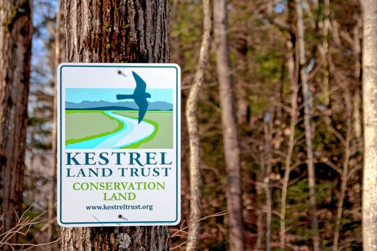 DailyHampGaz's tweet photo. Open spaces in western Massachusetts are so familiar that we easily take them for granted. Yet, it’s only through the concerted efforts of many individuals and organizations that so many of these natural areas have been protected from development.
https://t.co/xIU7C4K6zJ https://t.co/b79TNVAh3w