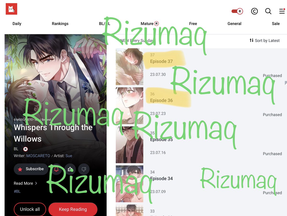 rizumaq's tweet photo. @moscareto I love your work! I was reading your manhwa “Whispers through the willows” on @LezhinComics_US, and it seems that some panels from ep 36 or 37 are missing :( Thank you for your attention and keep the hard work!💛 https://t.co/AMzX4MeDjS