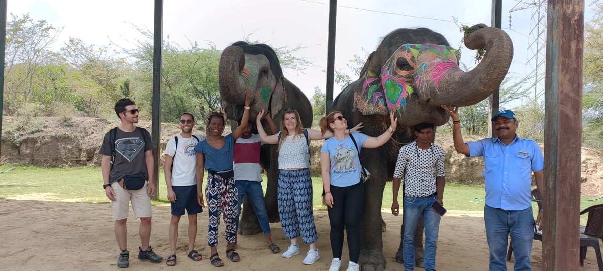 ElephantVoyage's tweet photo. !! Jaipur's Elephant Safari !!
Embark on the extraordinary adventure into the capital city of Rajasthan!!
π https://t.co/Tb1rCh9k9L
Call/WhatsApp +918383014197
#elephants #elephantsafariinjaipur #elephantridesandsafaris #elephantactivitiesinjaipir #thingstodoinjaipur https://t.co/vCCi3sKxFG