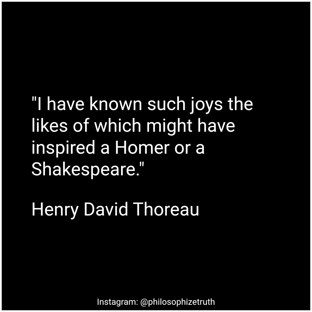 philosotruth's tweet photo. #philosophy #philosophyquotes #philosophyquote  #philosophicalquotes #philosophizetruth #dostoevesky #schopenhauer #nietzsche #sartre #albertcamus #franzkafka  #jordanpeterson #carljung #confucius #psychology #osho #bukowski #oshoquotes #albertcamusquotes #franzkafkaquotes https://t.co/CNqq2fliXM