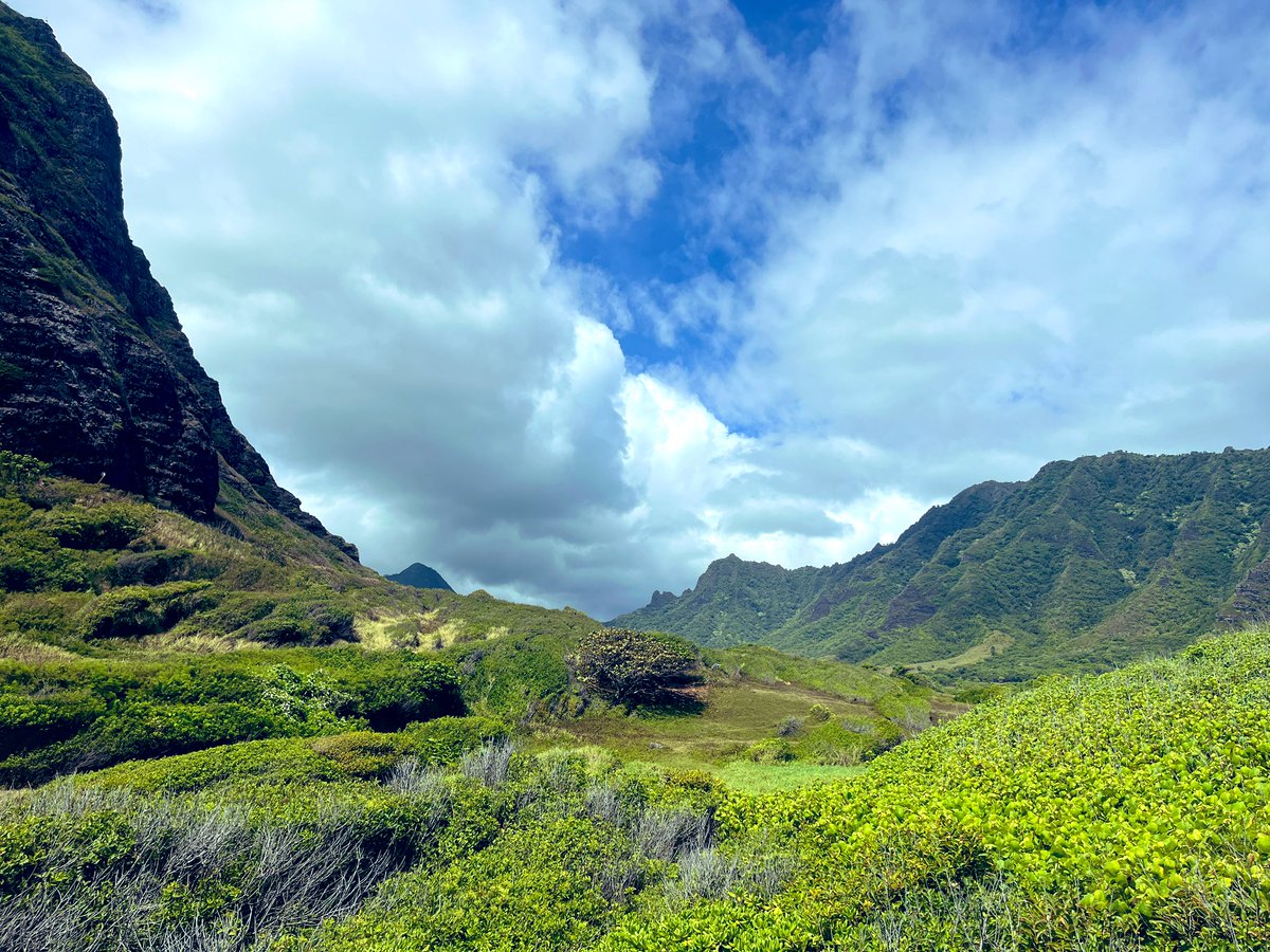 Jurassic Valley on Oahu 🦕🦖 - what a place!