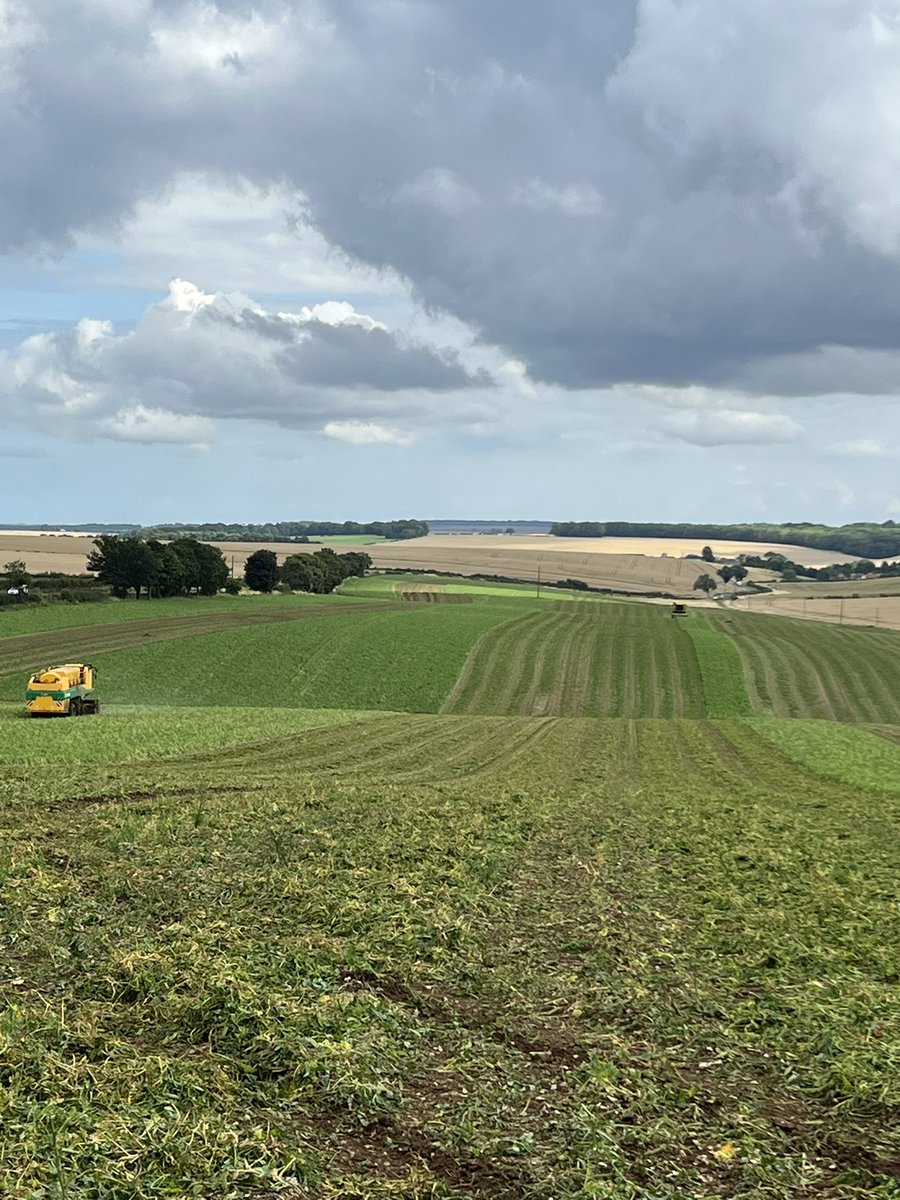 #farm24 #lincolnshirewolds #aonb