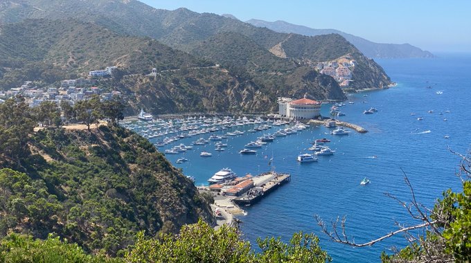 Its_catalina