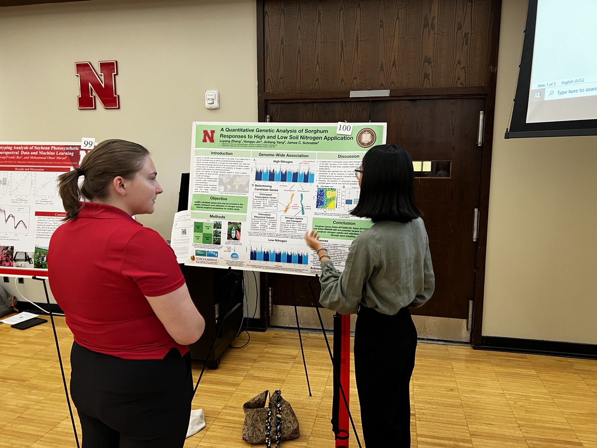 James Schnable (@szintri) on Twitter photo Luyang Zhang, a <a href="/PMB_Berkeley/">Berkeley Plant & Microbial Biology</a> undergraduate who worked with <a href="/HongyuJin5/">Hongyu Jin</a>, presenting her poster on successfully mapping genes controlling variation in chlorophyll content across a sorghum diversity panel. Nicely done, Luyang! Luyang Zhang, a <a href="/PMB_Berkeley/">Berkeley Plant & Microbial Biology</a> undergraduate who worked with <a href="/HongyuJin5/">Hongyu Jin</a>, presenting her poster on successfully mapping genes controlling variation in chlorophyll content across a sorghum diversity panel. Nicely done, Luyang!