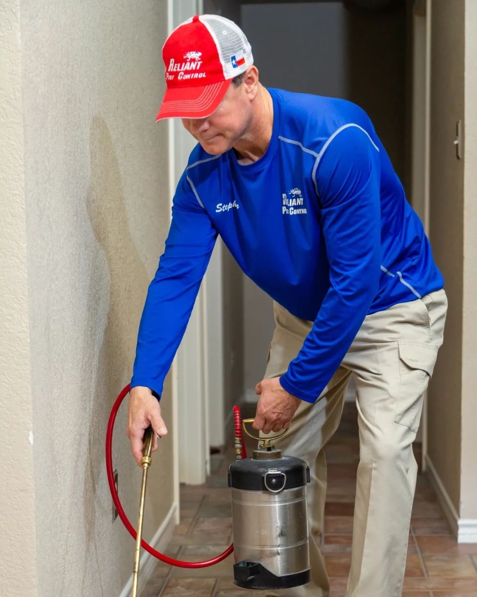 Reliant Termite & Pest Control (@ReliantPest) / Posts / X