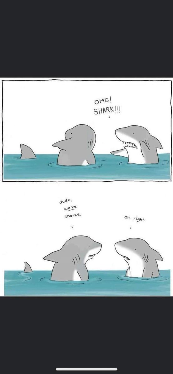 Omg shark!!!!